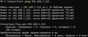 Проверка ping.png